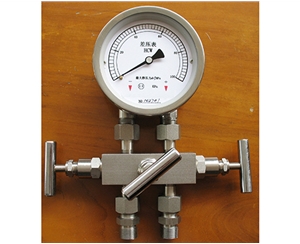 北京差压表带三阀组
