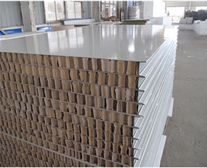 北京50厚1150型纸蜂窝夹芯板